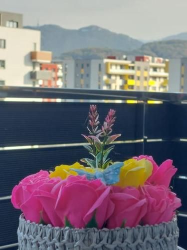 Outdoor Pictures 1