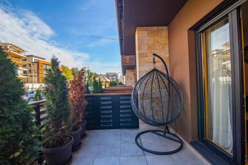 Outdoor Pictures 23