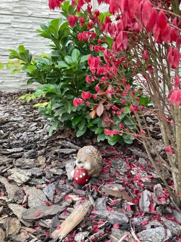 Outdoor Pictures 7