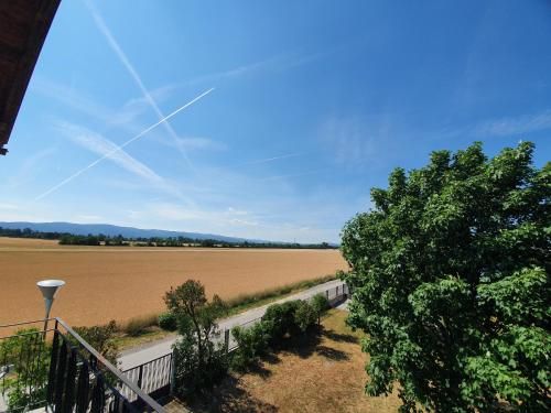 Outdoor Pictures 20