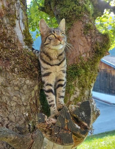 Outdoor Pictures 9