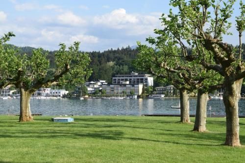 Outdoor Pictures 19