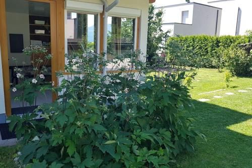 Outdoor Pictures 15