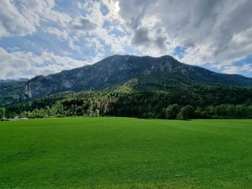 Outdoor Pictures 10