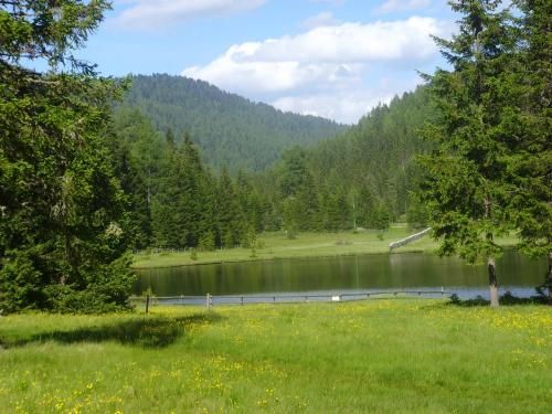 Outdoor Pictures 10