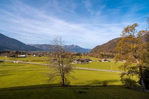 Outdoor Pictures 15