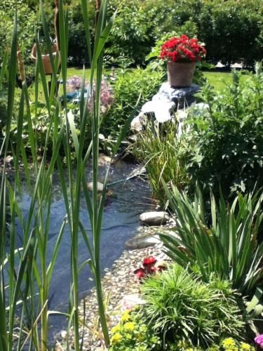 Outdoor Pictures 10