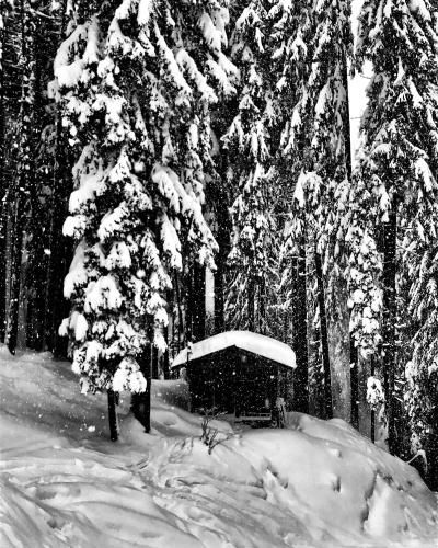 Outdoor Pictures 1