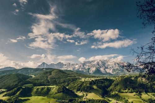 Outdoor Pictures 22