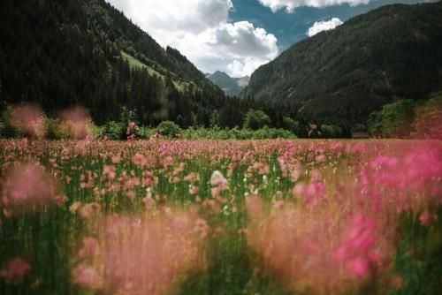 Outdoor Pictures 23