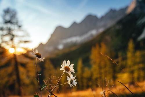 Outdoor Pictures 24