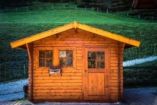 Outdoor Pictures 15