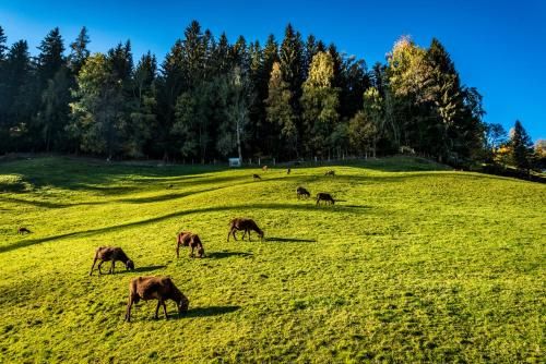 Outdoor Pictures 20