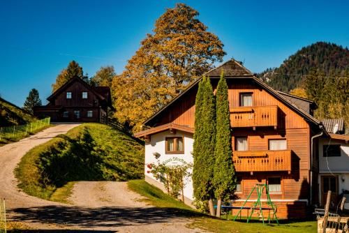 Outdoor Pictures 21