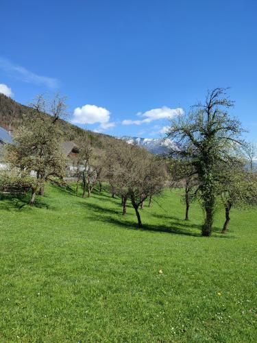 Outdoor Pictures 2