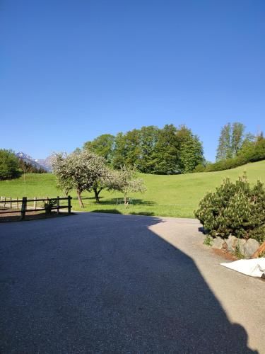 Outdoor Pictures 10