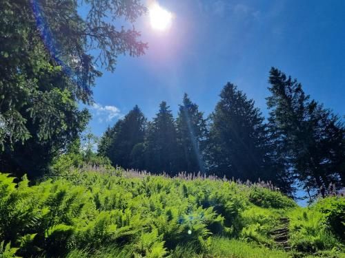 Outdoor Pictures 21