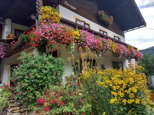 Outdoor Pictures 21
