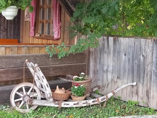 Outdoor Pictures 11