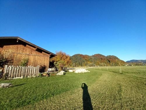 Outdoor Pictures 12