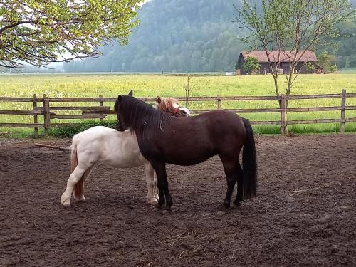 Outdoor Pictures 16