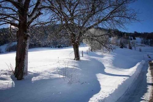 Outdoor Pictures 20