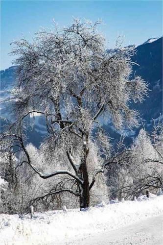 Outdoor Pictures 22