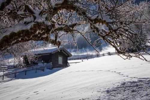 Outdoor Pictures 23