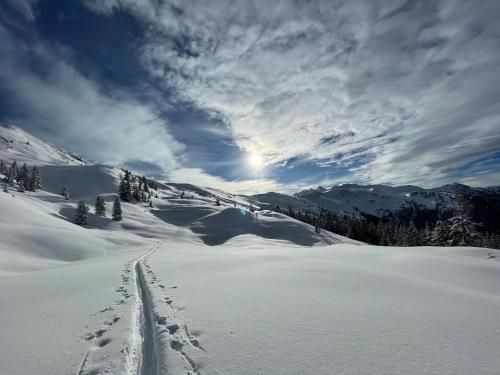 Outdoor Pictures 7