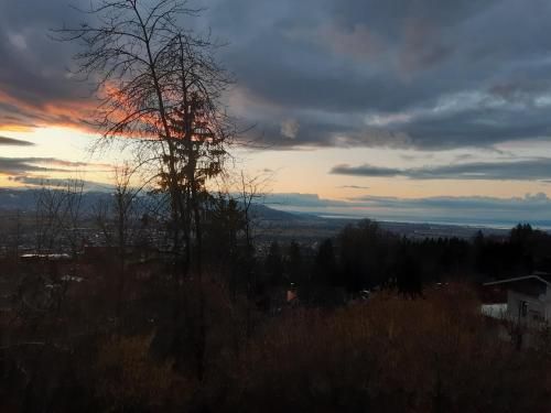 Outdoor Pictures 3