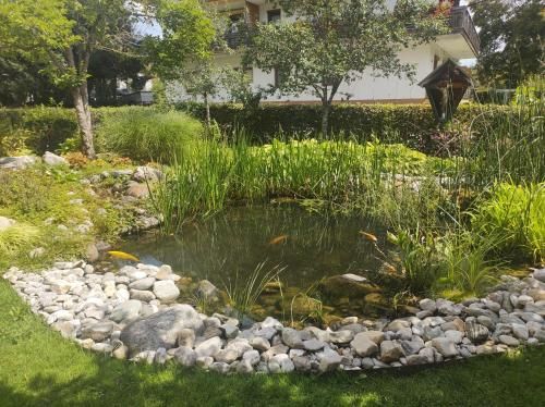 Outdoor Pictures 24
