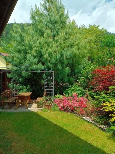 Outdoor Pictures 13