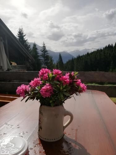 Outdoor Pictures 15