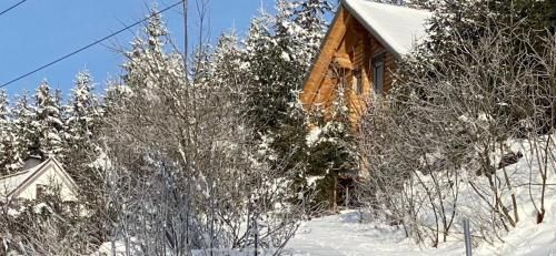 Outdoor Pictures 24