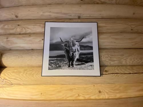 Outdoor Pictures 8
