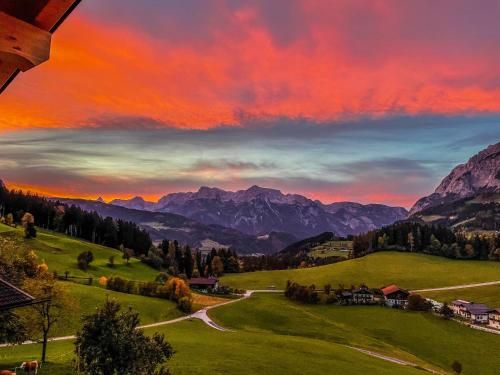 Outdoor Pictures 7
