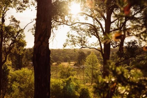Outdoor Pictures 11
