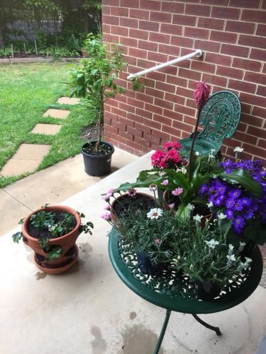 Outdoor Pictures 5