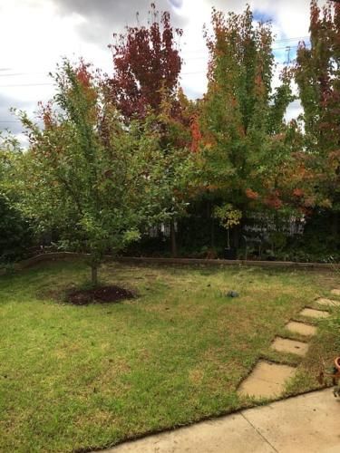 Outdoor Pictures 6