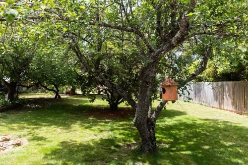 Outdoor Pictures 23