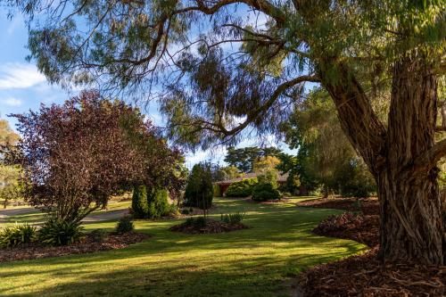 Outdoor Pictures 20