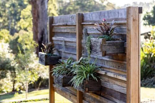 Outdoor Pictures 9