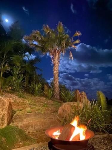 Outdoor Pictures 8