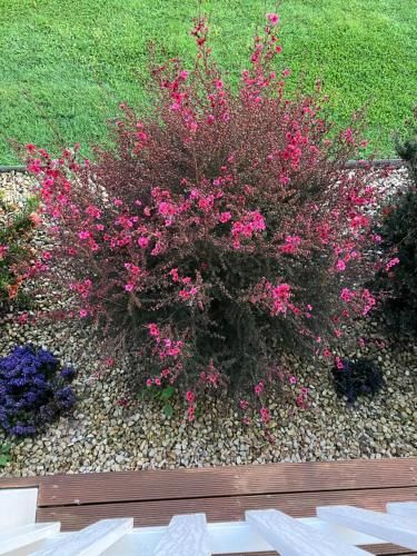 Outdoor Pictures 15