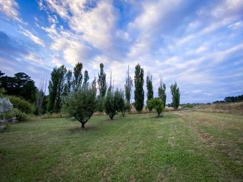 Outdoor Pictures 17