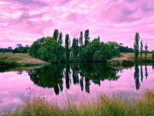 Outdoor Pictures 20
