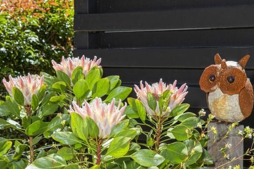 Outdoor Pictures 20
