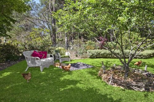 Outdoor Pictures 22