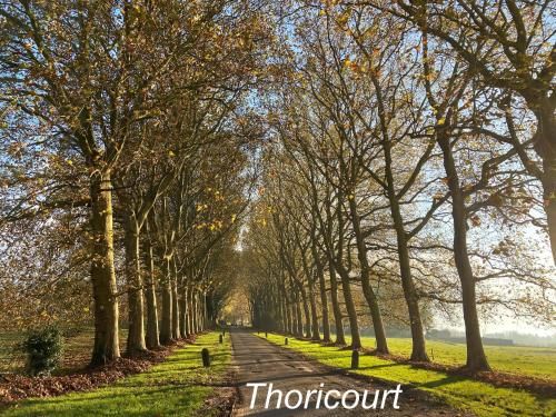 Outdoor Pictures 17
