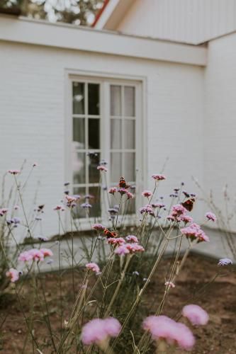 Outdoor Pictures 5